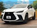 2021 Lexus NX