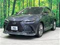 2022 Lexus NX