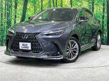 2022 Lexus NX