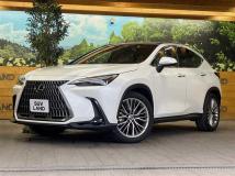 2023 Lexus NX