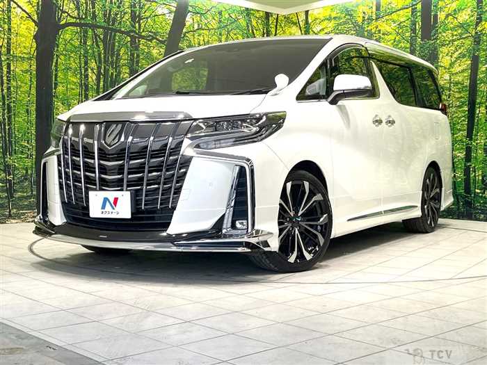 2019 Toyota Alphard