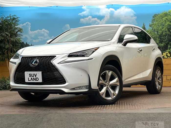2015 Lexus NX