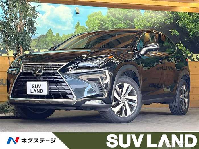 2017 Lexus NX