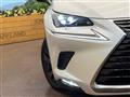 2019 Lexus NX