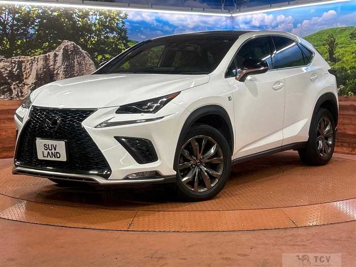 2019 Lexus NX