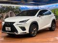2019 Lexus NX
