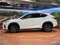 2019 Lexus NX