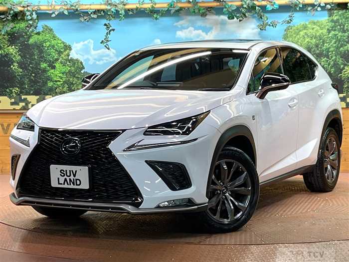 2020 Lexus NX