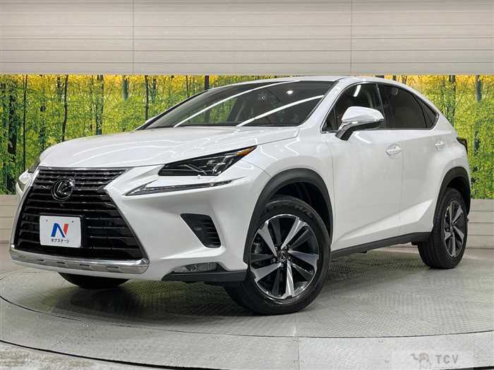 2020 Lexus NX