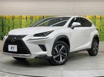 2020 Lexus NX