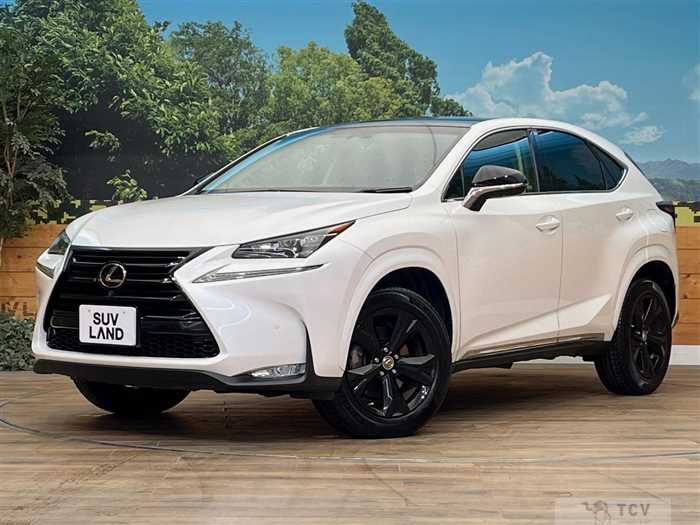 2017 Lexus NX