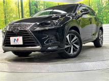 2019 Lexus NX