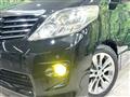 2010 Toyota Alphard