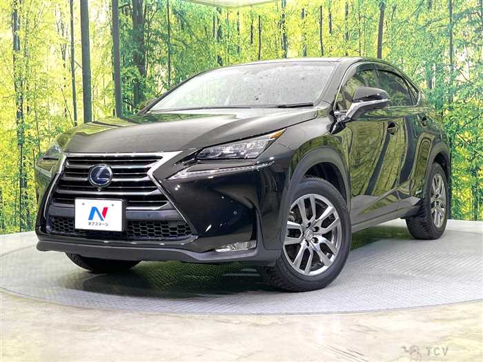 2015 Lexus NX