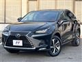2018 Lexus NX