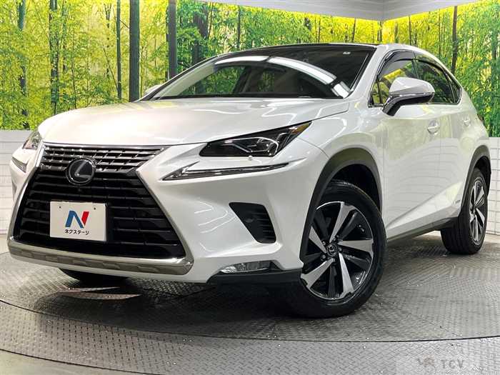 2018 Lexus NX