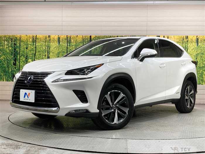 2018 Lexus NX