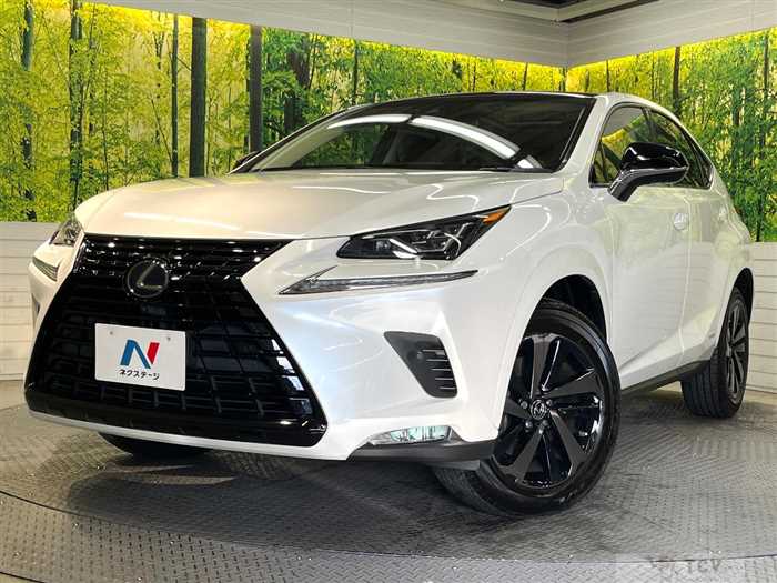 2019 Lexus NX