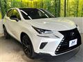 2019 Lexus NX