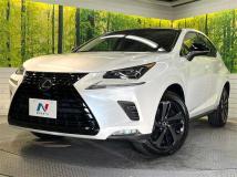 2019 Lexus NX
