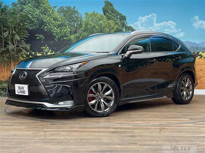 2015 Lexus NX