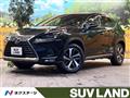 2019 Lexus NX