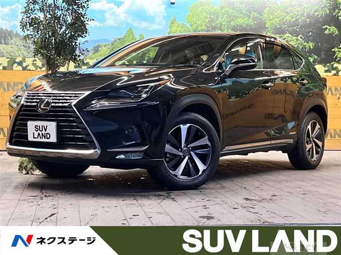 2019 Lexus NX