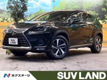 2019 Lexus NX