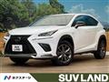 2019 Lexus NX