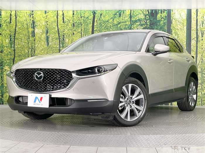 2022 Mazda Mazda Others