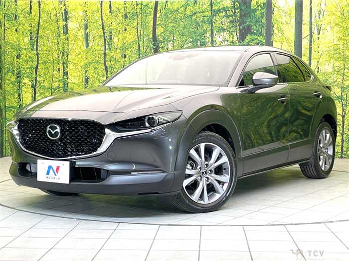 2023 Mazda Mazda Others