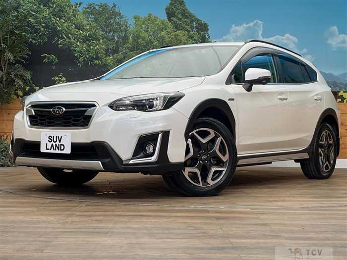 2019 Subaru Subaru Others