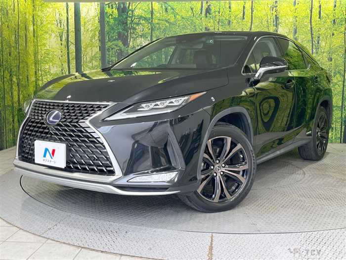 2021 Lexus RX