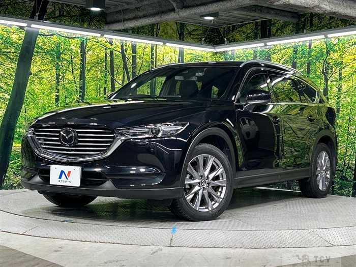 2019 Mazda CX-8