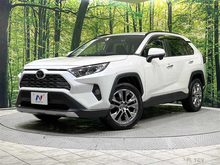2019 Toyota RAV4