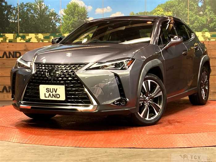 2019 Lexus Other