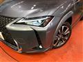 2019 Lexus Other