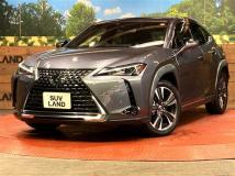 2019 Lexus Other