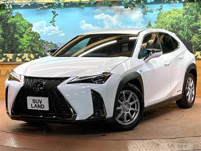 2019 Lexus Other