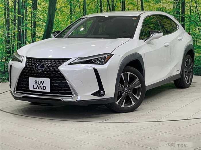 2020 Lexus Other