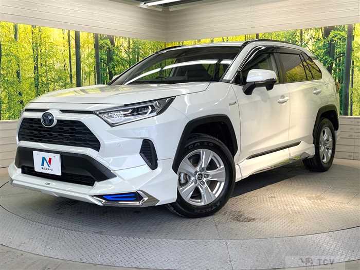 2019 Toyota RAV4