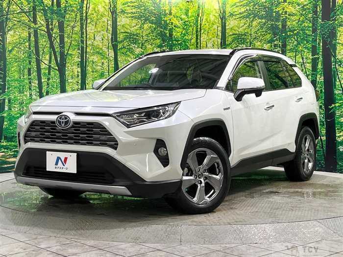 2019 Toyota RAV4