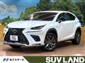 2019 Lexus NX