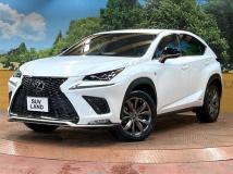 2019 Lexus NX