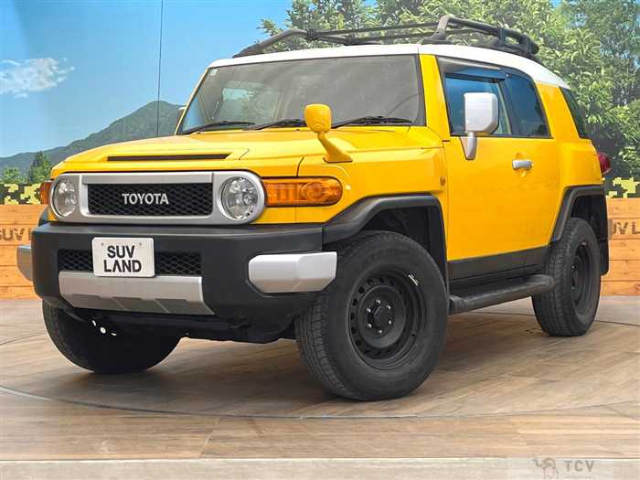 2011 Toyota FJ Cruiser
