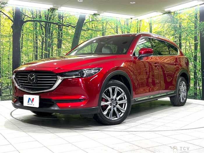 2019 Mazda CX-8