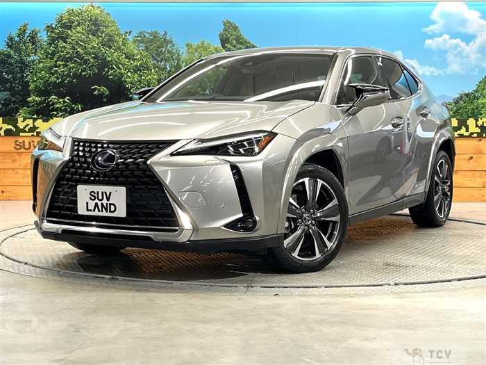 2019 Lexus Other