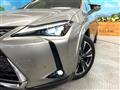 2019 Lexus Other