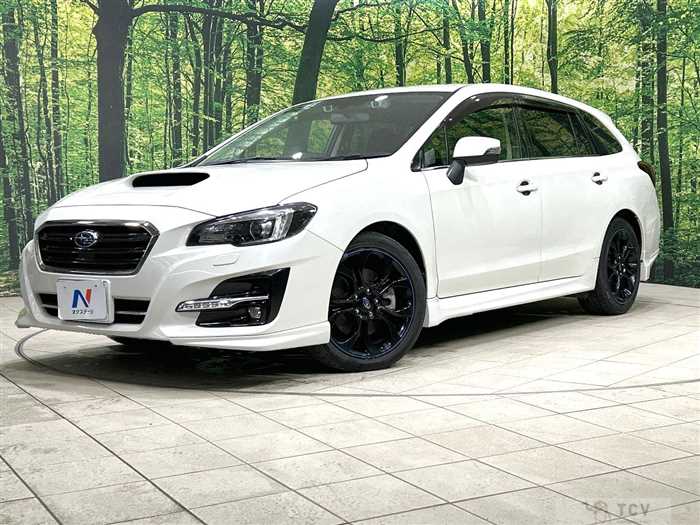 2019 Subaru Levorg