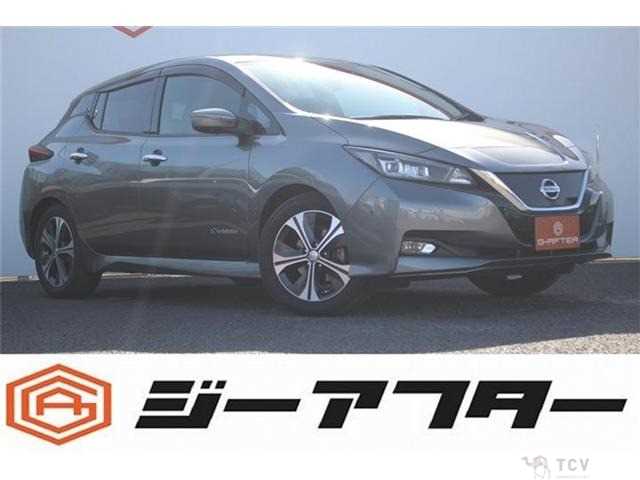 2018 Nissan Nissan Others